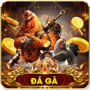 AE888 đá gà thomo